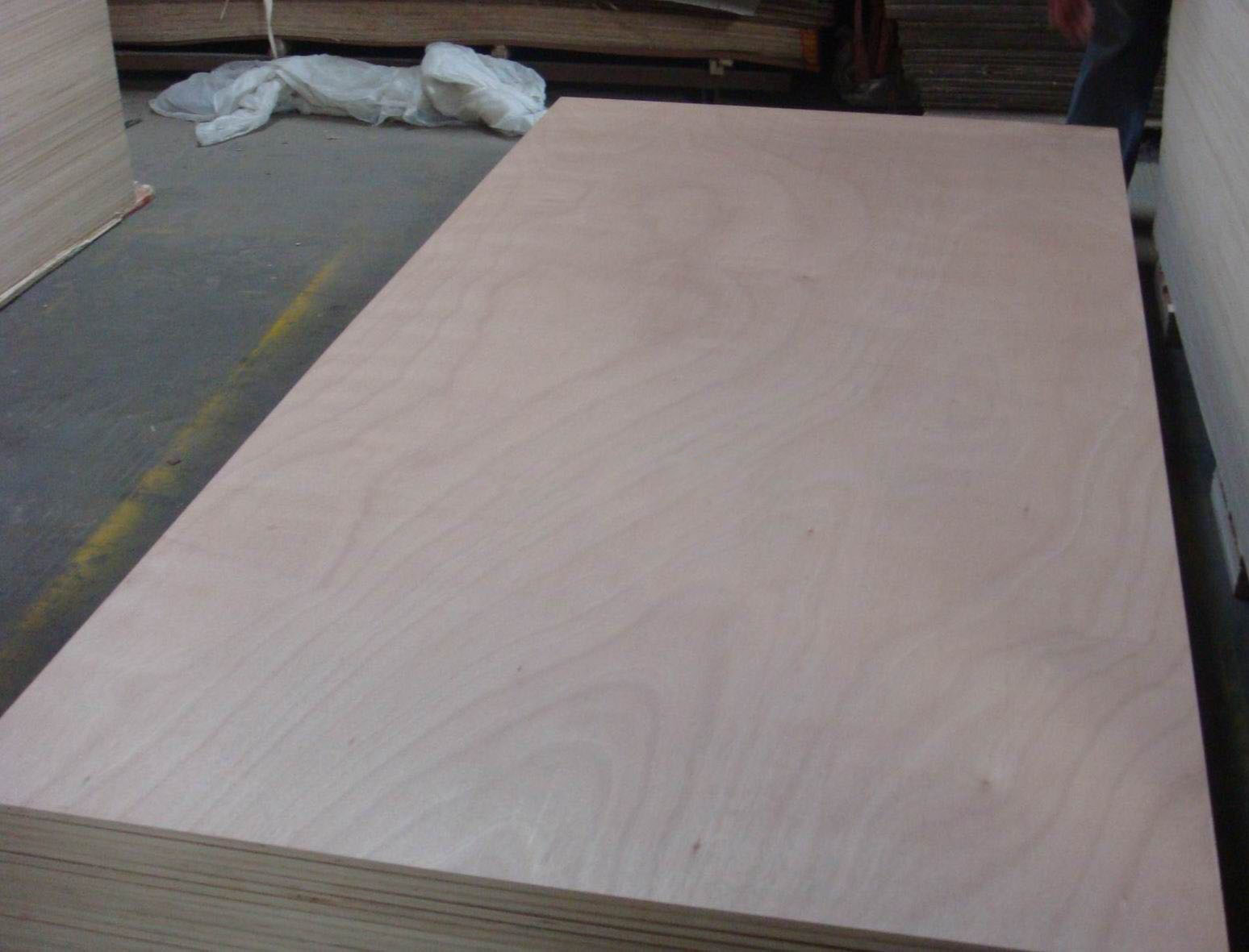 Okoume plywood