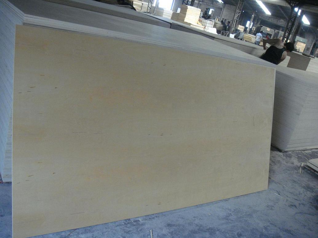 Russia birch plywood