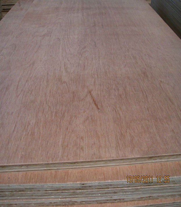 keruing/Gurjan plywood for india