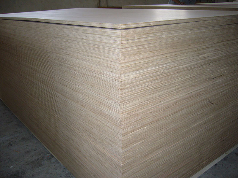 Eucalyptus plywood