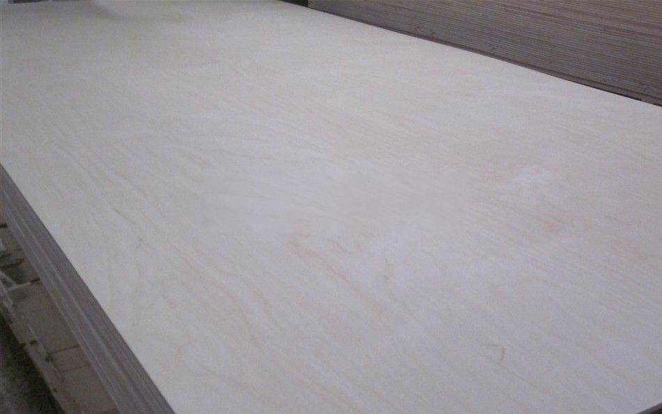 Poplar plywood