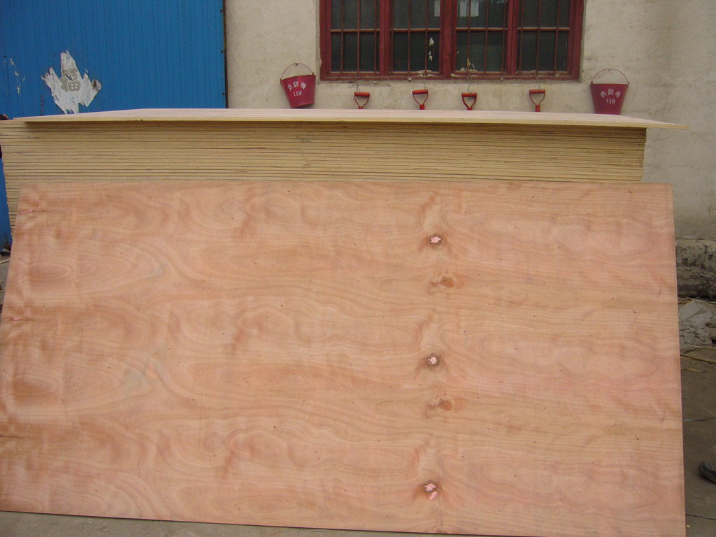 CDX plywood